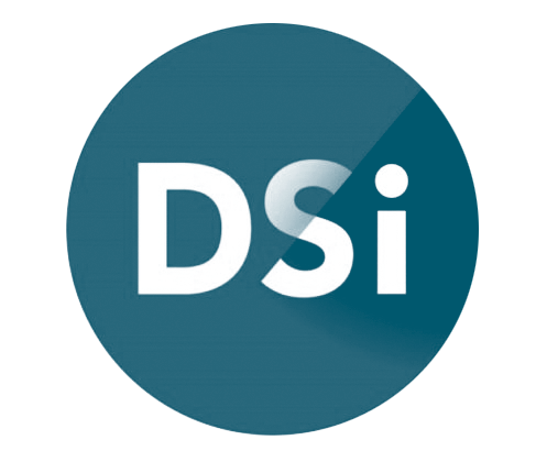 Stichting DSI